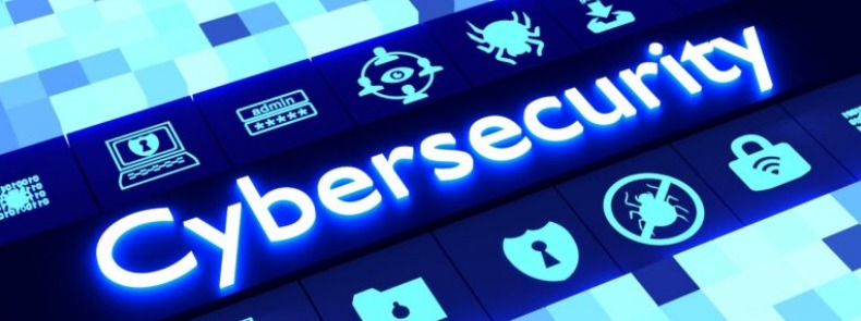 Cyber Security Services